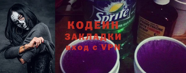 прущие грибы Покачи