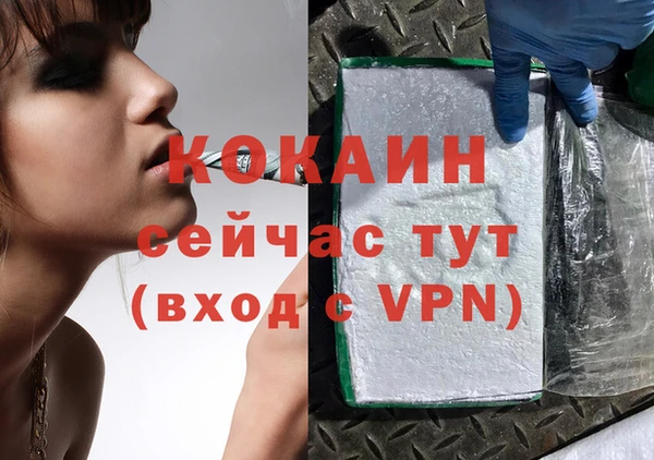прущие грибы Покачи