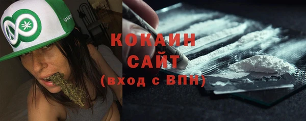 прущие грибы Покачи