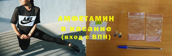 прущие грибы Покачи