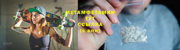 прущие грибы Покачи