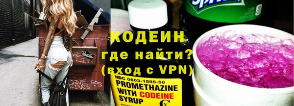 прущие грибы Покачи