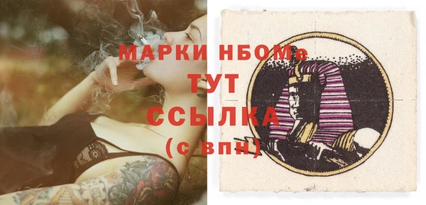 прущие грибы Покачи