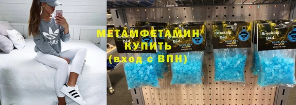 прущие грибы Покачи
