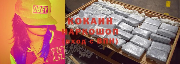 прущие грибы Покачи
