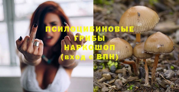 мяу мяу мука Покров