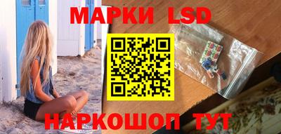 гашик Будённовск