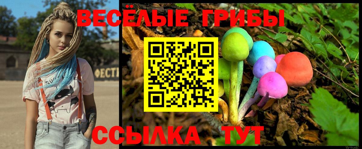 Псилоцибиновые грибы мухоморы  Апрелевка  купить   Псилоцибиновые грибы Psilocybine cubensis 